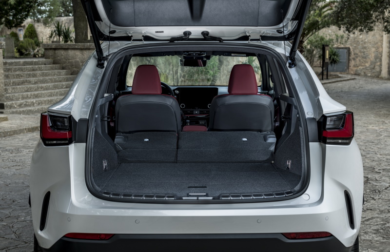 �������� ���������� Lexus NX