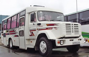 ����-4229