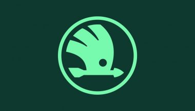 Skoda �������� ���� �������