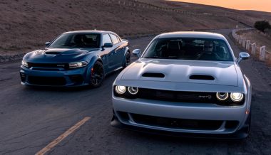 ����� ���� ���������� ������ ���� ����������� �������