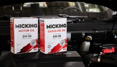 ������������ �������� ����� MICKING �� ��������� ���������� �������������