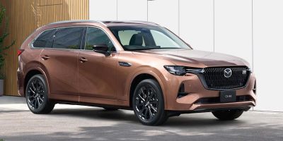 � ������ ������� ������ ������������� ����� 2024 ����