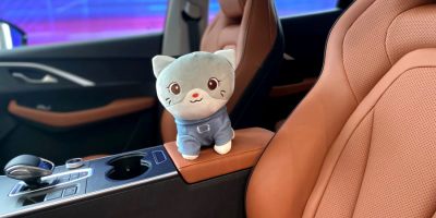 � ������ �������� ������� ��������� ����� � �����������