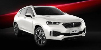�������� Great Wall ����������� ����� ����� Wey